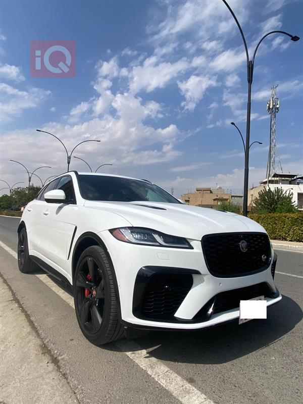 Jaguar for sale in Iraq